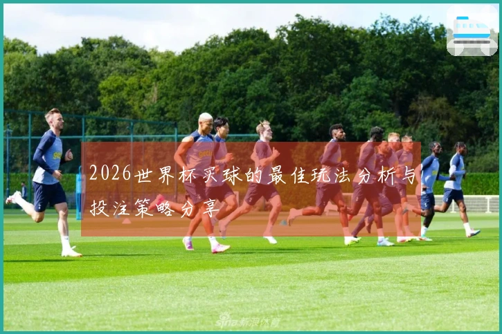 2026世界杯买球的最佳玩法分析与投注策略分享
