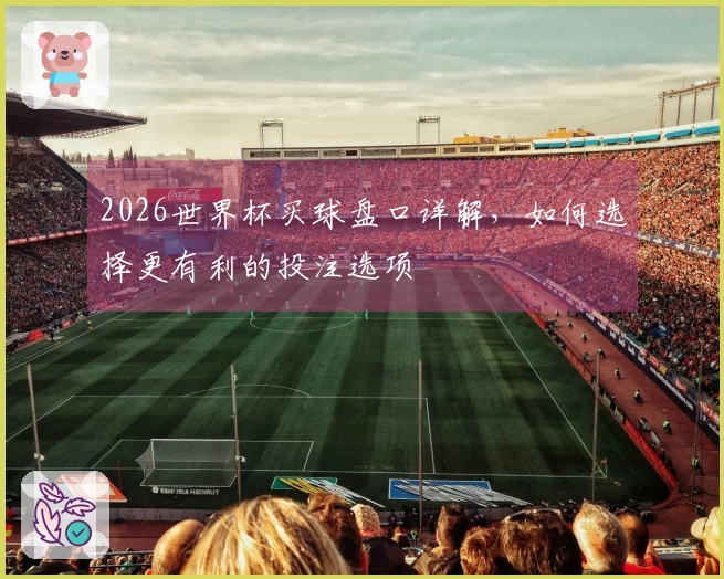 2026世界杯买球盘口详解，如何选择更有利的投注选项