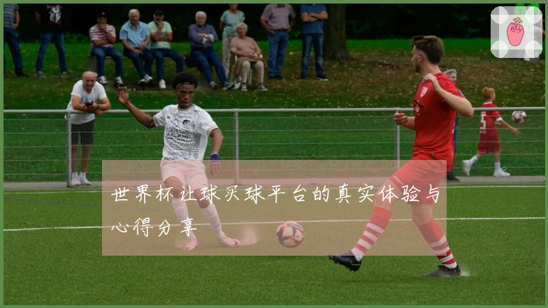 世界杯让球买球平台的真实体验与心得分享