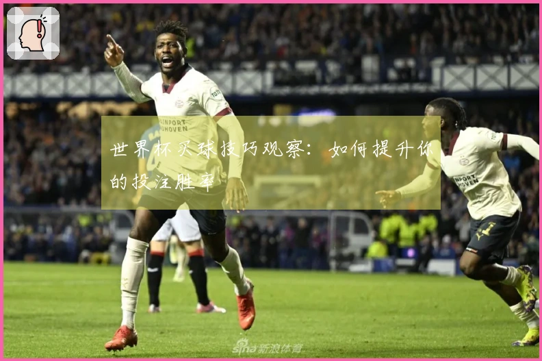 世界杯买球技巧观察：如何提升你的投注胜率