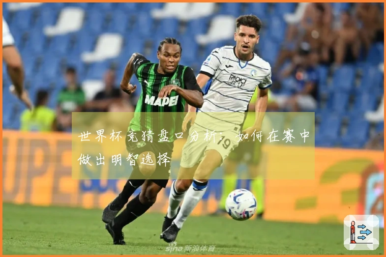 世界杯竞猜盘口分析：如何在赛中做出明智选择