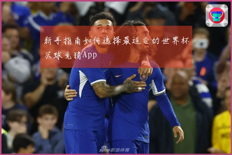 新手指南如何选择最适合的世界杯买球竞猜App