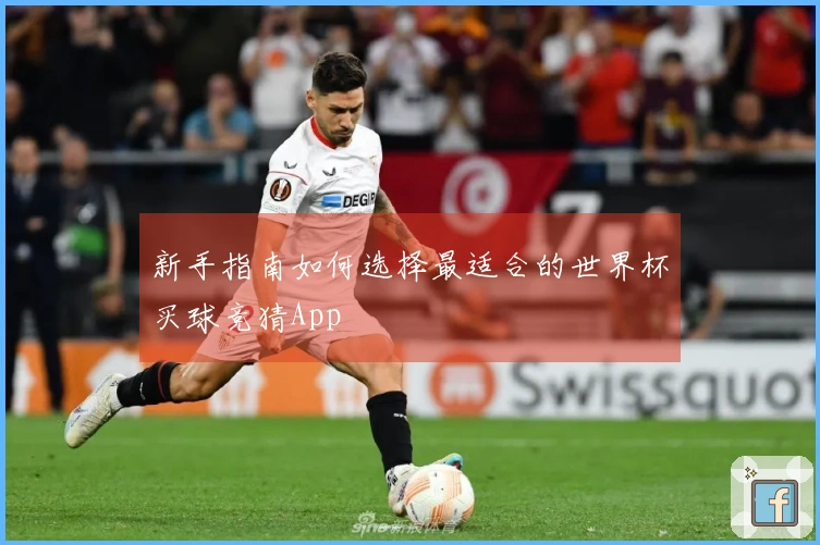 新手指南如何选择最适合的世界杯买球竞猜App